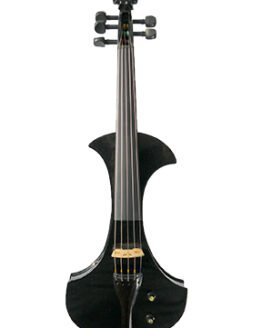 Five String Electric Violin/Viola Outfit