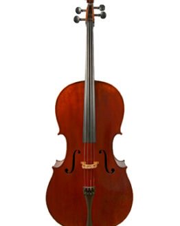 Amedee Dieudonne 1930 Cello