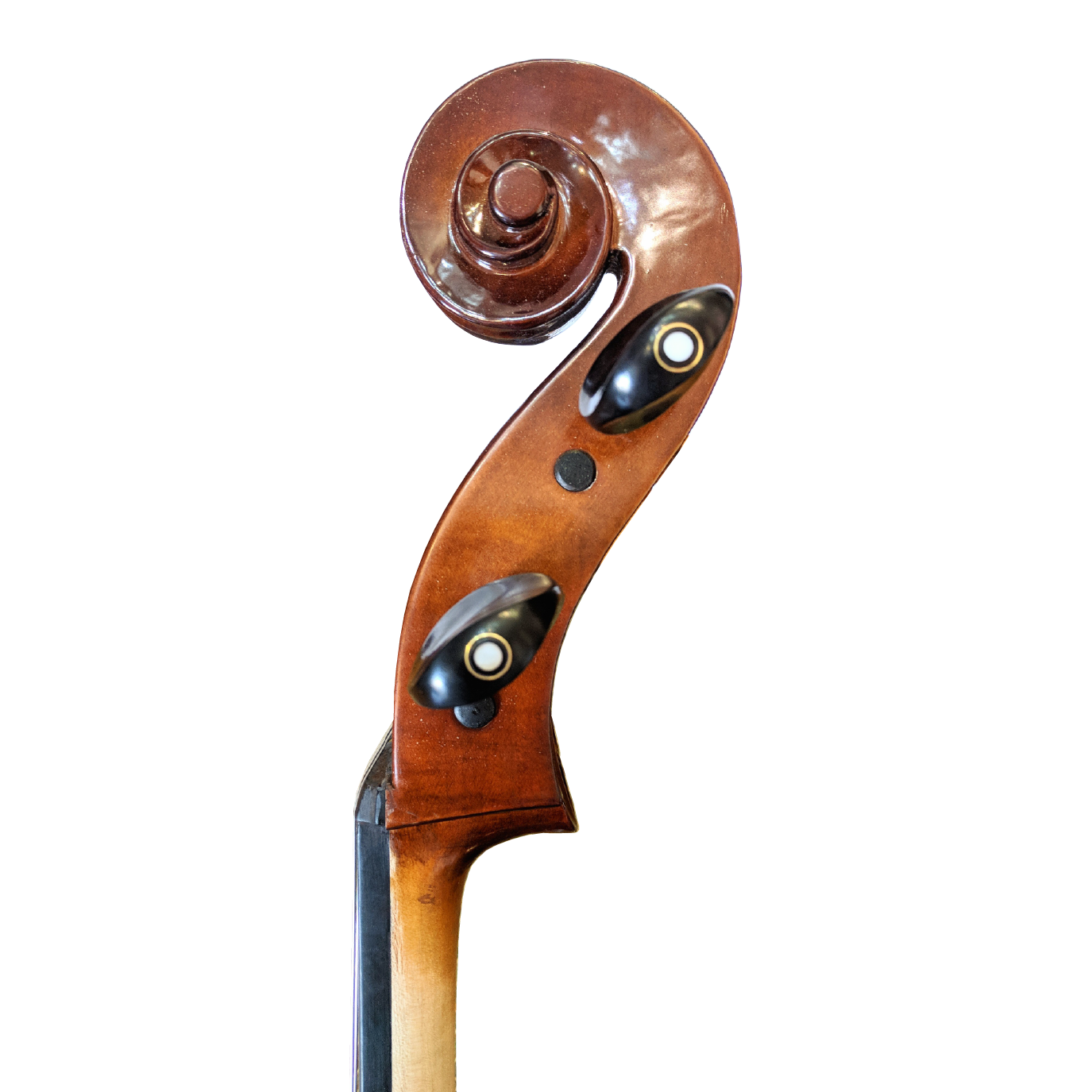 H. Luger CC200 Cello Outfit - Image 4