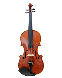 Radiana Edreva Violin Cremona
