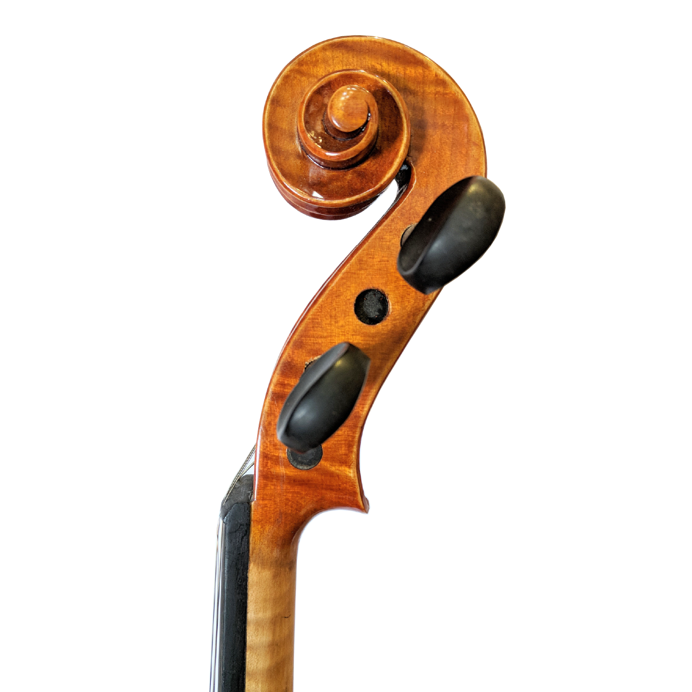 Ametto Starter Viola Outfit - Image 4