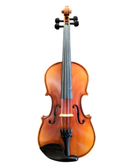 Ametto Starter Violin Outfit