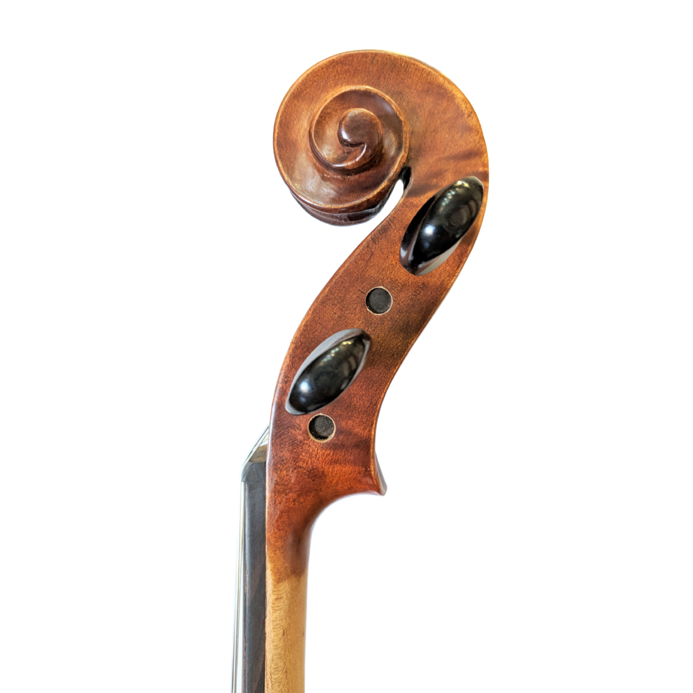 Ametto CA150 Viola Outfit - Image 3