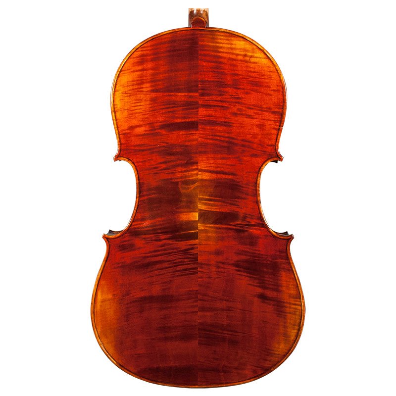 Nicolas Parola CP10N Cello Rear Body