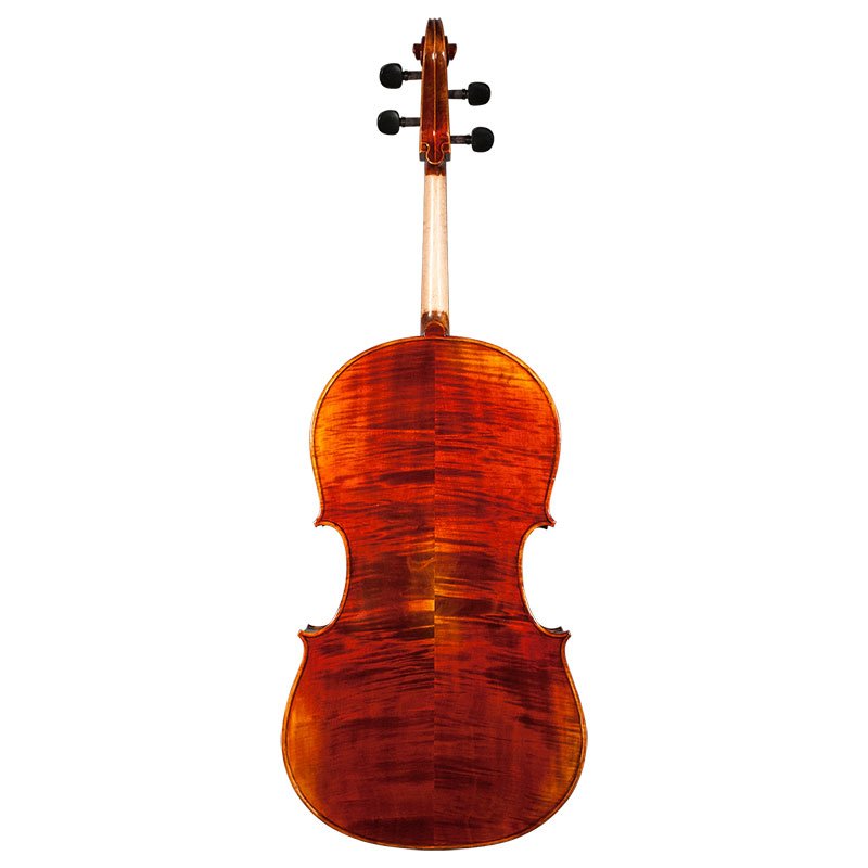 Nicolas Parola CP10N Cello Full Rear