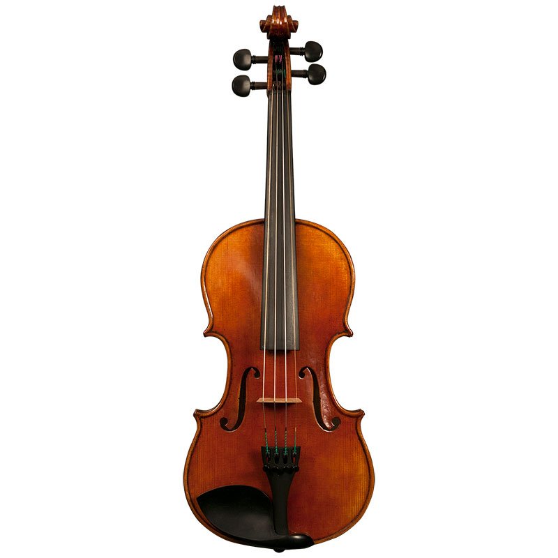 Nicolas Parola NP15N Violin Full Front