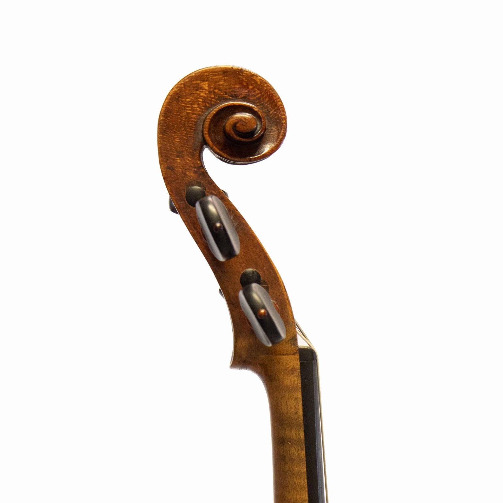Johann Gottfried Liebich Violin scroll
