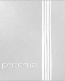 Perpetual Violin Set
